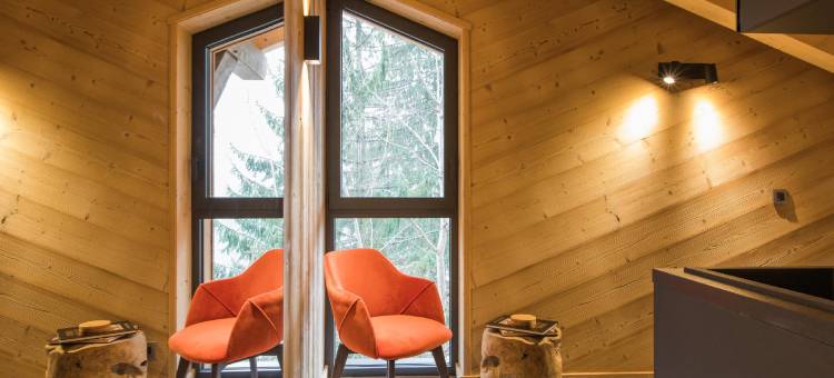 莫尔济讷山上小屋酒店(Chalet Sur les Monts Morzine)图片