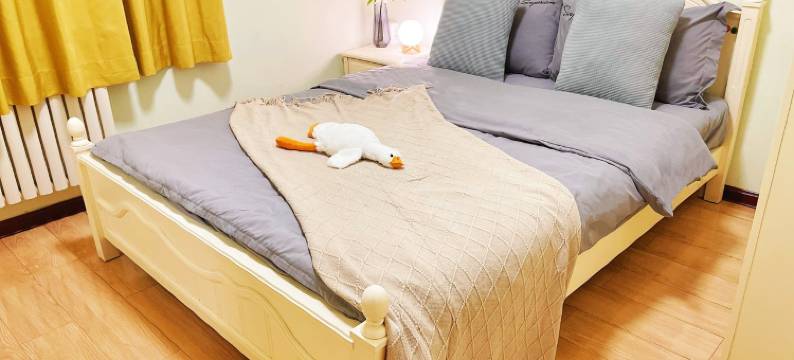 二宝儿公寓(中州中路分店)图片