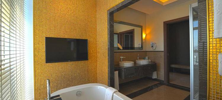 安尼蒙酒店-萨姆松(Anemon Grand Samsun Otel)图片