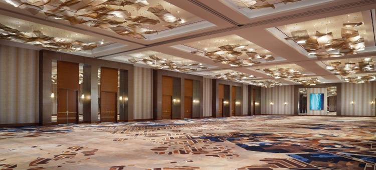 达拉斯-弗里斯科Omni星酒店(Omni Frisco-Dallas Hotel at the Star)图片