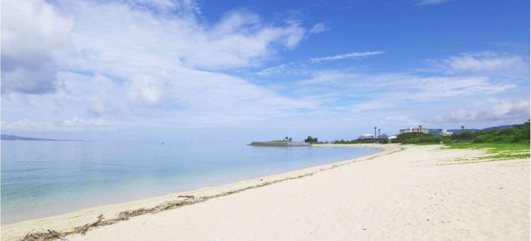冲绳名护人工温泉二股汤之华格林里奇酒店(Green Rich Hotel Okinawa Nago (Artificial Hot Spring Futamata Yunohana))图片