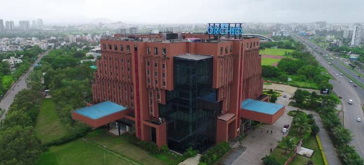 浦那辛吉瓦蒂兰花酒店(The Orchid Hotel Hinjewadi Pune)图片