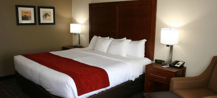 威奇托福尔斯舒适酒店-近大学(Comfort Inn Wichita Falls Near University)图片