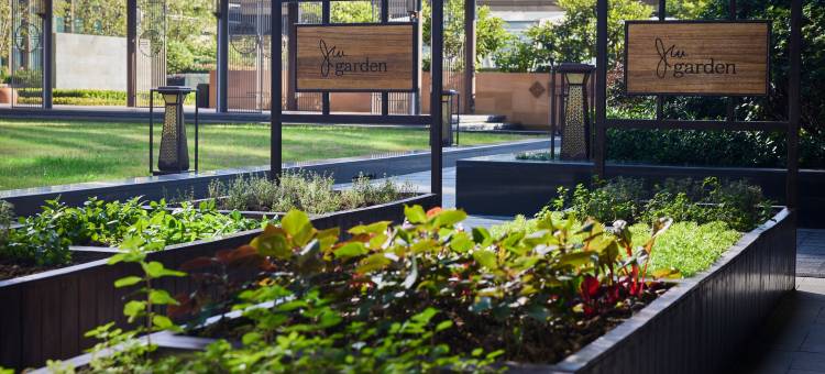 西安高新JW万豪酒店(科技二路地铁站店)图片