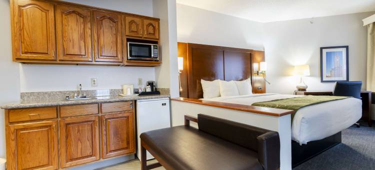 斯普林菲尔德舒适套房酒店(Comfort Suites)图片