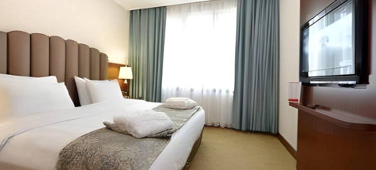 马拉提亚阿尔丁卡伊西温德姆华美达广场酒店(Ramada Plaza by Wyndham Malatya Altin Kayisi)图片