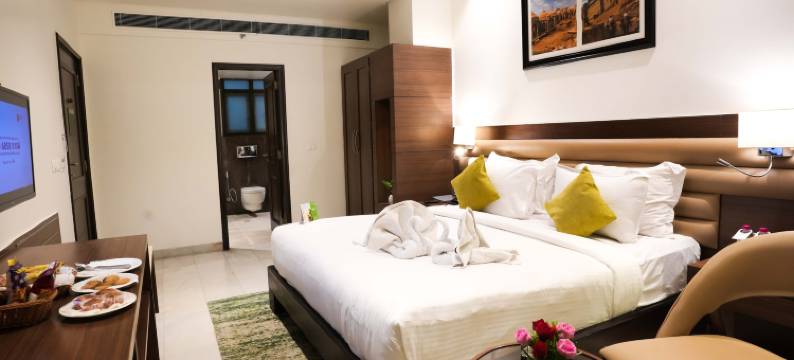 参纳卡休闲大酒店(Leisure Inn Grand Chanakya)图片