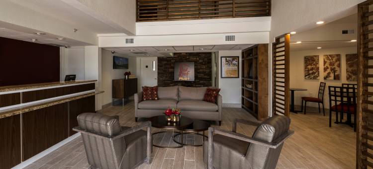 休斯顿能源走廊红顶Plus酒店(Red Roof PLUS+ Houston - Energy Corridor)图片