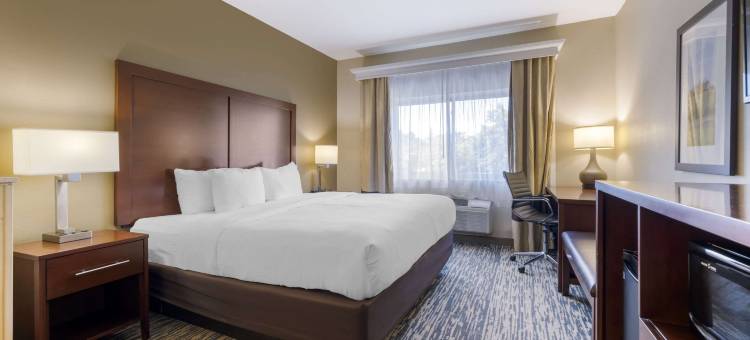 基兰舒适套房酒店(Comfort Suites Keeneland)图片