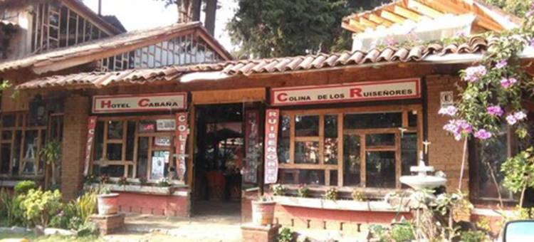 鲁伊森诺雷斯小屋酒店(Hotel Cabaña Los Ruiseñores)图片