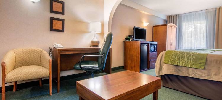 舒适套房酒店(Comfort Inn & Suites Shawinigan)图片