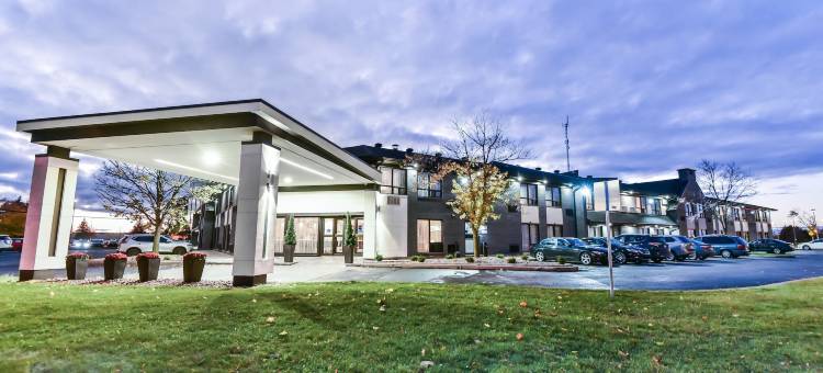 舒适酒店-蒙特娄机场(Comfort Inn Montreal Aeroport)图片