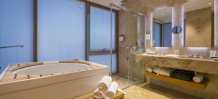 凯瑟里皇冠假日酒店(Crowne Plaza Kayseri)图片