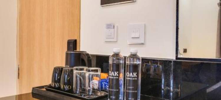 Townhouse OAK INDIGO BUSINESS HOTELS图片