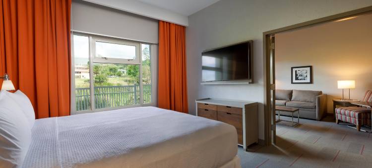 卡瓜斯皇家 福朋喜来登酒店(Four Points by Sheraton Caguas Real Hotel & Casino)图片