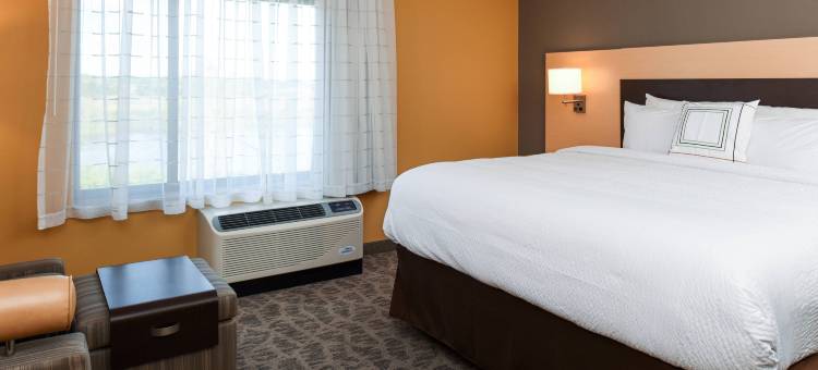 底特律商业区TownePlace套房酒店(TownePlace Suites Detroit Commerce)图片