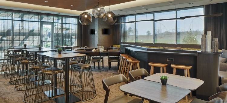 夏洛特卡罗温兹万豪SpringHill Suites酒店(SpringHill Suites Charlotte at Carowinds)图片