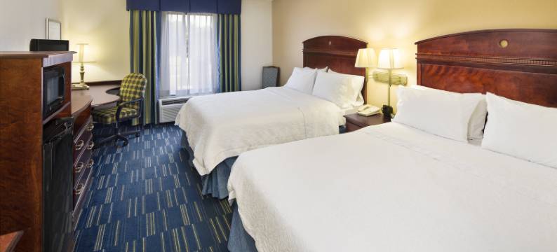 希尔顿欢朋酒店-海恩斯维尔(Hampton Inn Hinesville)图片