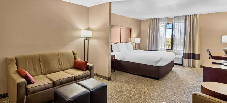 本森卡切内岩洞舒适酒店(Comfort Inn Benson Near Kartchner Caverns)图片