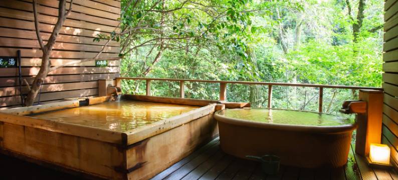 有马温泉之宿 奔月之舟(Tsukie No Fune)图片