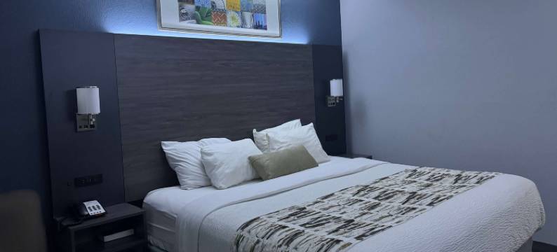 代顿北部呗盟酒店(Baymont by Wyndham Dayton North)图片