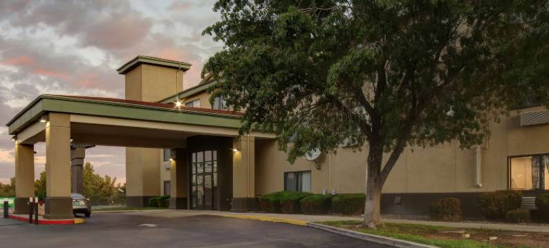 阿尔伯克基绿树旅馆(Best Western North I-25 Hotel)图片