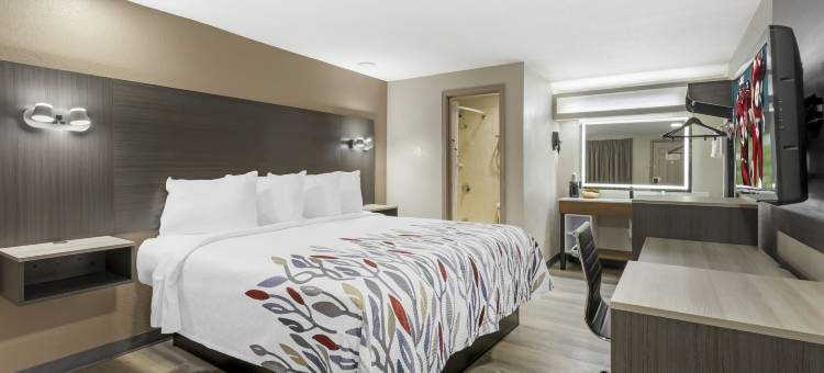 红屋顶酒店-希望酒店(Red Roof Inn Hope)图片