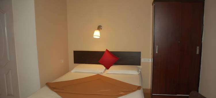 Collection O Amaran Shola Nest图片