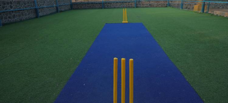 复古山度假村(Hotel Vintage Hills Resort)图片