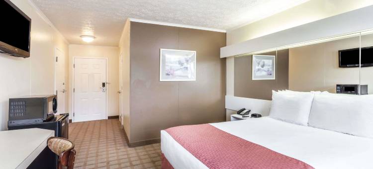 威尔逊麦客达套房酒店(Microtel Inn & Suites by Wyndham Wilson)图片