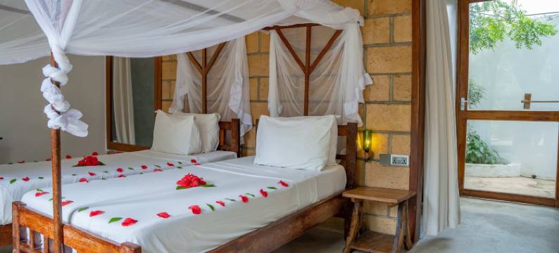 Maisha 农维海滩酒店(Maisha Nungwi)图片