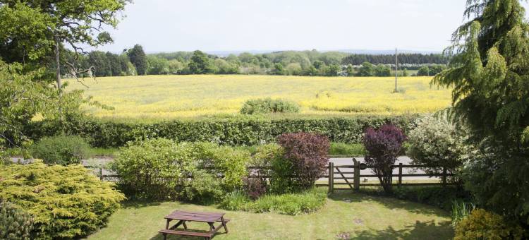 拉科莱斯住宿加早餐酒店(Larkrise Cottage Bed and Breakfast)图片