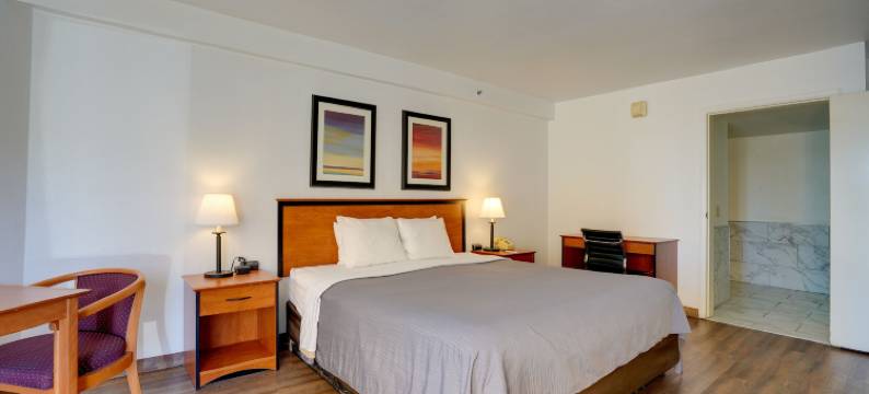 梅德湖酒店(Lake Mead Inn)图片