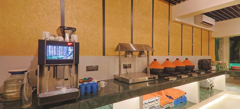 兰花帕萨罗斯贝瑙林果阿 - 限成人(The Orchid Passaros Goa)图片