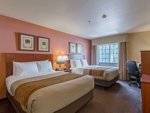 鲁伊多索市中心酒店