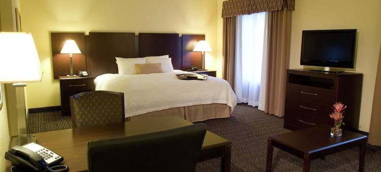 奥兰多约翰杨大路/南公园欢朋套房酒店(Hampton Inn & Suites Orlando-John Young Pkwy/S Park)图片