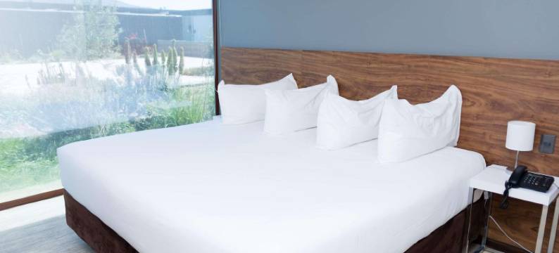 瓦勒纳尔罗斯奥利弗丽柏酒店(Park Inn by Radisson Los Olivos de Vallenar)图片