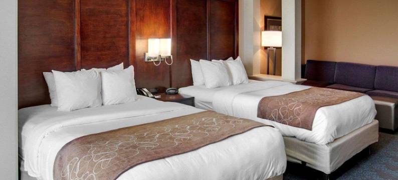 阿肯色州特克萨卡纳舒适全套房酒店(Comfort Suites Texarkana Arkansas)图片