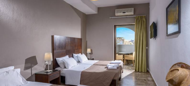 瓦尼斯科酒店(Vanisko Hotel)图片