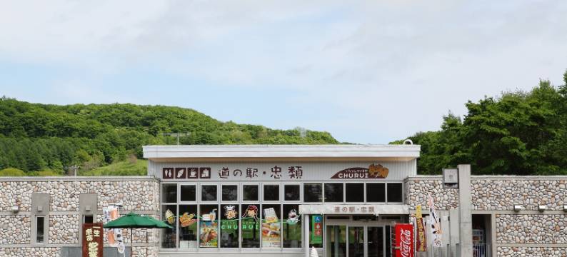 十胜纳玛温泉阿尔科酒店(Tokachi Nauman Onsen Hotel Arco)图片