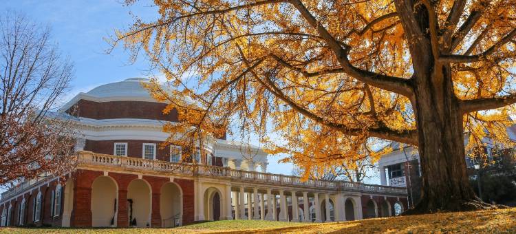 夏洛茨维尔机场Staybridge套房酒店(Staybridge Suites Charlottesville Airport)图片