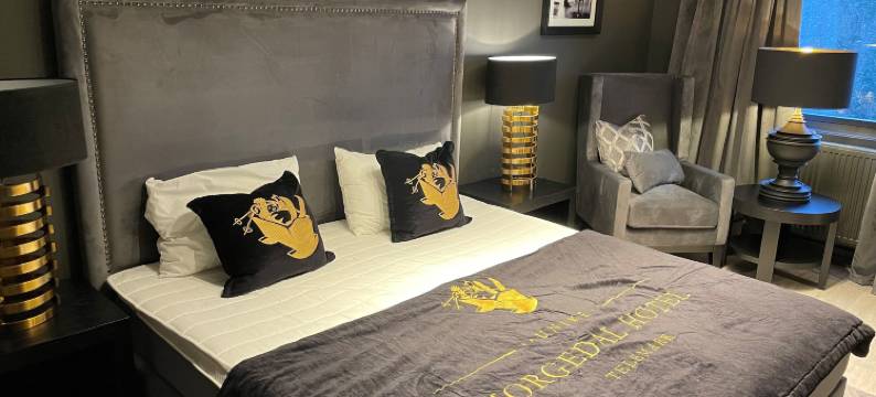 莫格达尔酒店(Morgedal Hotel - Unike Hoteller)图片