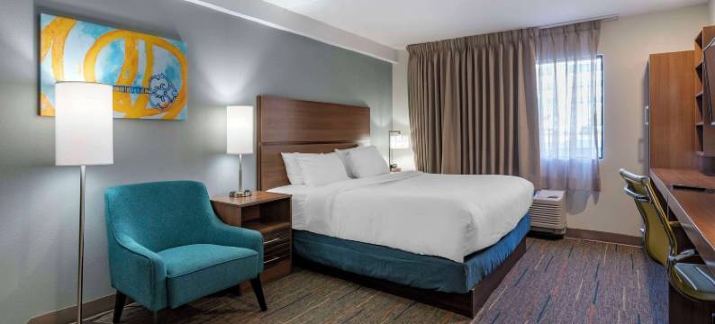 MainStay套房列克星敦I-75(MainStay Suites Lexington I-75)图片