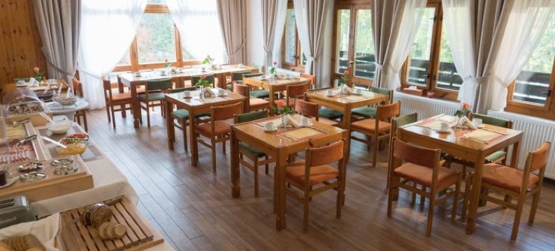 贝内茨科专业家庭酒店(ProFamily Hotel Top Benecko)图片