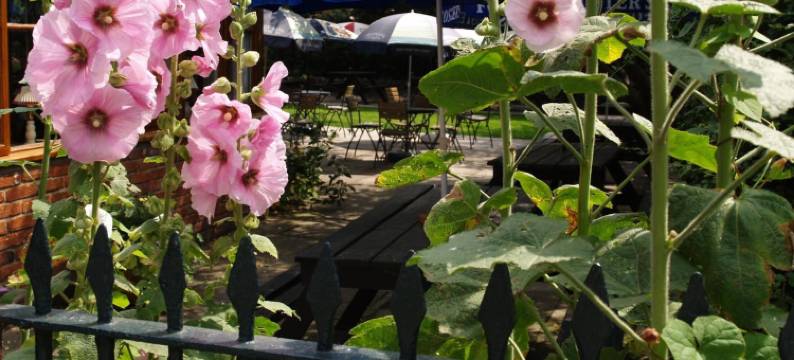 奥尔德风车酒店(The Olde Windmill Inn)图片