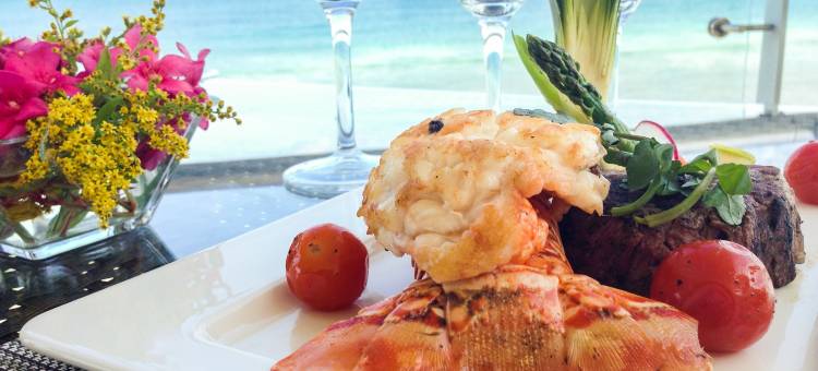 黑海胆(Black Urchin)图片