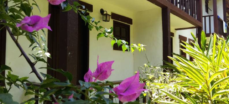 艾丽西亚酒店(Pousada Alicia)图片