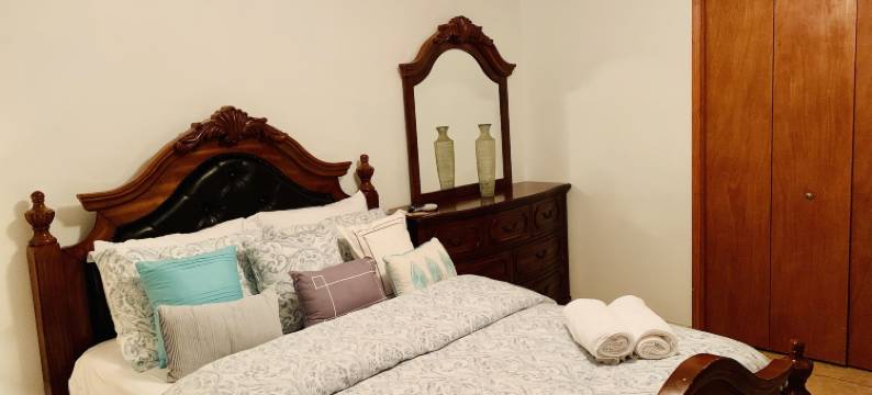 蓝舍民宿(Blue House Miami)图片