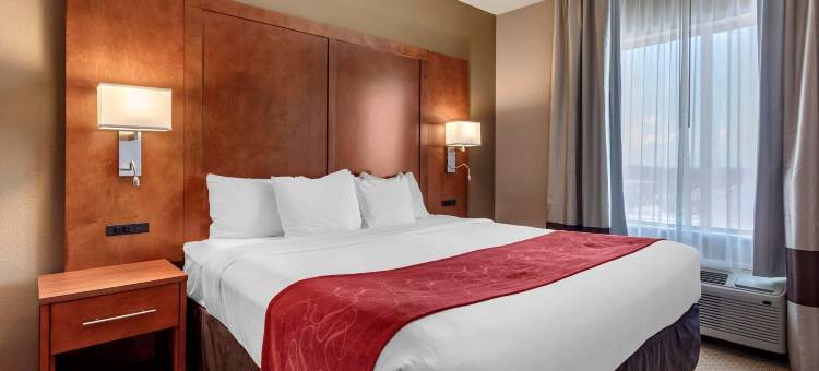 佛罗伦萨浅滩区舒适套房酒店(Comfort Suites Florence Shoals Area)图片