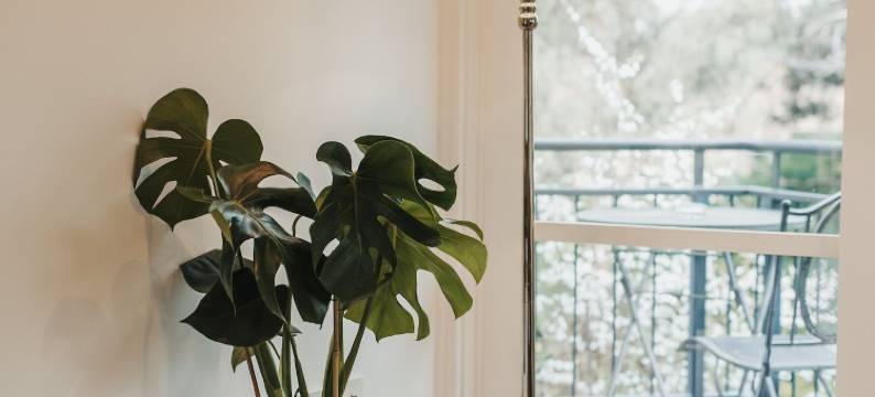 克莱尔谷磨房公寓(The Mill Apartments Clare Valley)图片